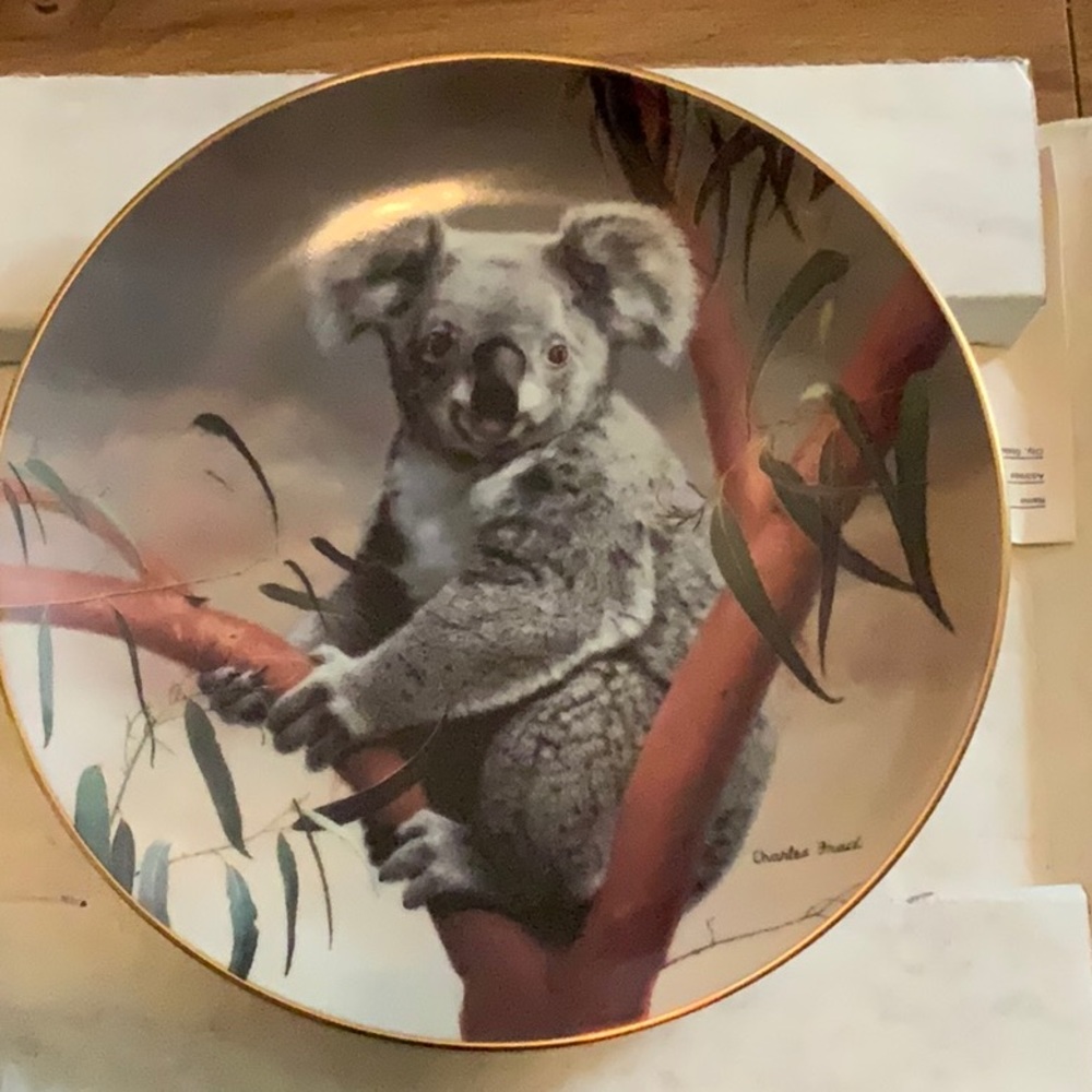W.S. George “The Koala”. Plate number 11462A